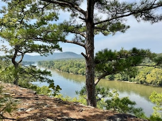 110 Mount Olive Rd, Zion, AR 72556