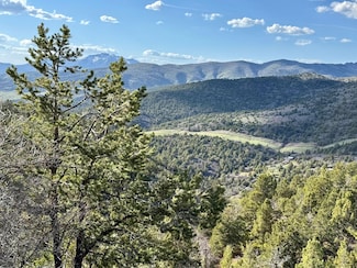 NE Panorama Woods, Fairview, UT 84629