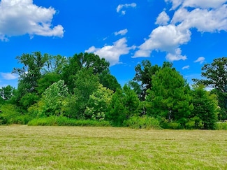 750 Co Rd 503, Hanceville, AL 35077