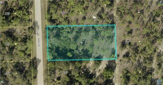 1004 North Ave, Lehigh Acres, FL 33972