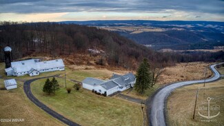 95 Cleggs Hill Rd, Roaring Branch, PA 17765