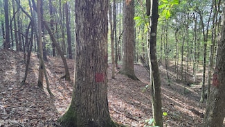 1404 Causey Rd, Meadville, MS 39653