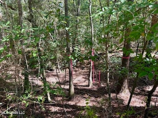 0 Par Road 495, Franklinton, LA 70438