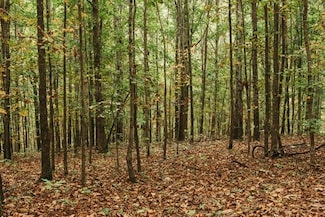 000 County Road 417 Lot 1, Ellington, MO 63638