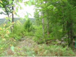0 Cobbs Rd, Arlington, VT 05250