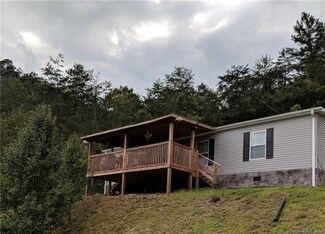 659 Paint Rock Rd, Hot Springs, NC 28743