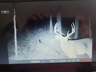 TBD Polk Road 62, Mena, AR 71953