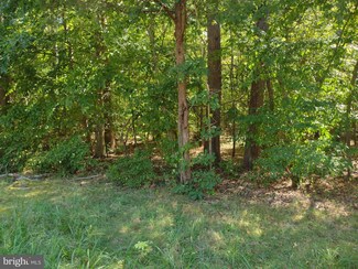 Parcel 195 Turkey Point Rd, Edgewater, MD 21037