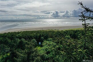 54 Ocean View Ln, Copalis Beach, WA 98535