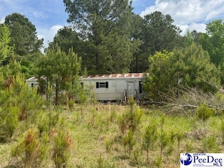 1682 Odom Rd, Bennettsville, SC 29512