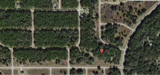 8276 N Elida Ave, Citrus Springs, FL 34434