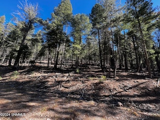 42 Forest View Rd, Cloudcroft, NM 88317