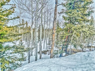 486 Pathfinder Rd, Como, CO 80456