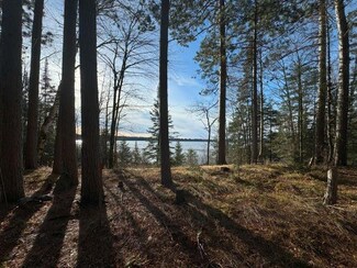 14175 Harris Creek Ln, Winchester, WI 54557