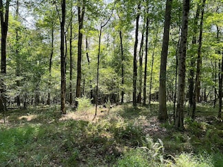 00 Route 36 Lot Unit WP002, Pleasantville, PA 16341