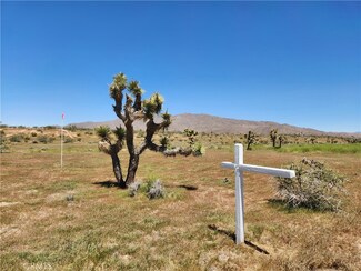 35 Corto Rd, Apple Valley, CA 92308