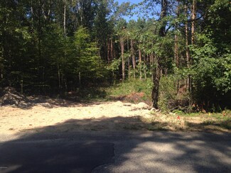 21234 Craig Dr Unit LOT 3, Pierson, MI 49339
