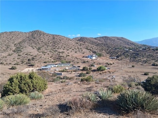 0 Wisconsin Unit SR25089924, Acton, CA 93510