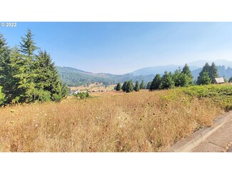 0 Hiland Ranch Dr Unit 3100 22569430, Oakridge, OR 97463