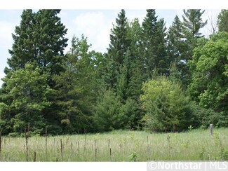 0 SW Unassigned Address St SW Unit 4160375, Pine River, MN 56435