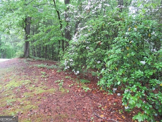0 Spring Crest Rd Unit 10512148, Cleveland, GA 30528