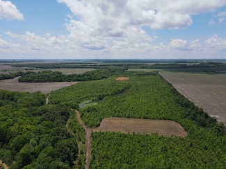 Off Brahan Rd, Sledge, MS 38670