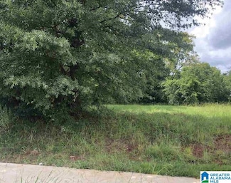2820 Arlington Ave Unit 4, Bessemer, AL 35020