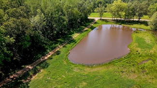 0 Mifflin Rd, Beech Bluff, TN 38313