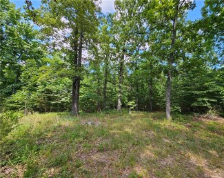 7 Sky Hawk Dr, St. Joe, AR 72675