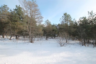 0 Ellsworth Rd Unit 478422, Ellsworth, MI 49729