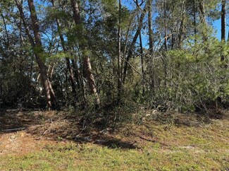 0000 SW 25 Ct, Ocala, FL 34474
