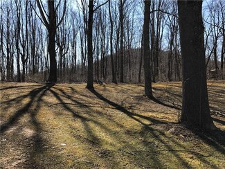 0 Maewset Unit 1326784, Henry Clay Township, PA 15424