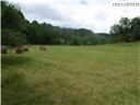 1827 Shatley Springs Rd, Crumpler, NC 28617