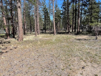 5-3 Lot 141 Hogan Dr Unit 5-3, Lake Shastina, CA 96094