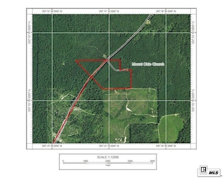 000 State Route 520 Unit est 52 acres, Homer, LA 71040