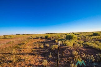 Jones Ranch Lot 17 Rd, Vanderwagen, NM 87326