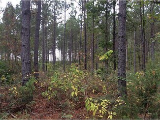 0 N Myrtis Texas Line Rd Hwy, Vivian, LA 71082