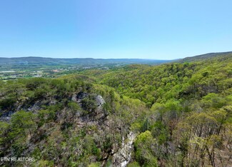 0 Old Spencer Rd - 198 Acres, Pikeville, TN 37367