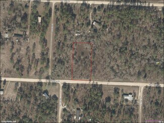 TBD SE 21st Place, Morriston, FL 32668