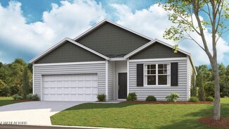 6815 Tall Shadow Ln, Knoxville, TN 37938