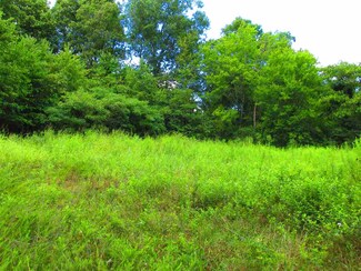 0 128 Hwy N Unit 9984413, Clifton, TN 38425