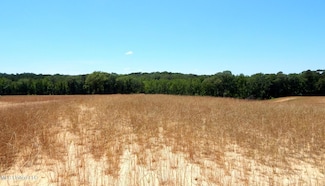 205 Hugh White State Park Rd, Grenada, MS 38901