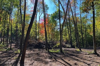 Diamond Dr, Cushing, MN 56443