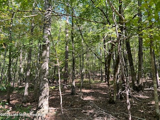 Lot 11 Fawn Ln, Dadeville, AL 36853