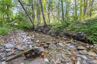 8 XX Nancy Creek Rd, Kettle Falls, WA 99141