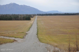 Mile 7 Rapeseed Way, Delta Junction, AK 99737