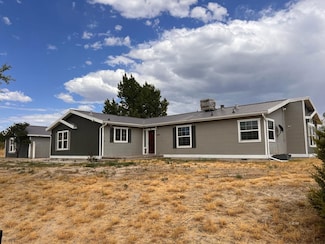 338 Flora Dr, Spring Creek, NV 89815