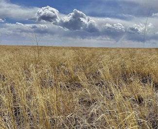 Tbd County Rd E, Haswell, CO 81045