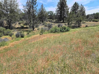 lot 697 Woverine Unit 4, Hornbrook, CA 96064