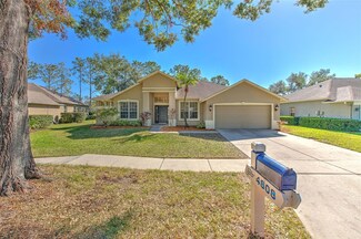 4808 Willow Ridge Terrace, Valrico, FL 33596